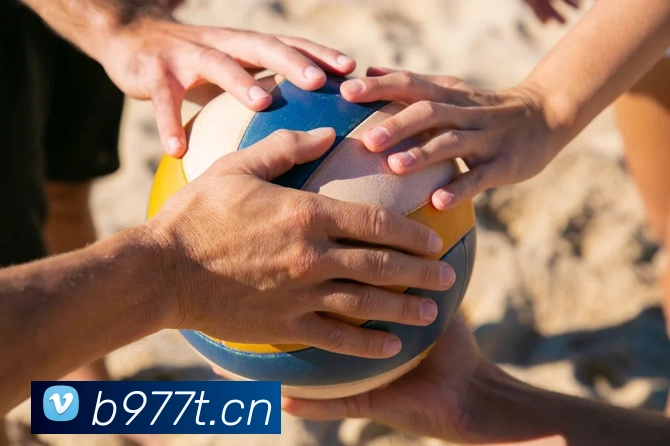 九游j9官方官网APP 封面图